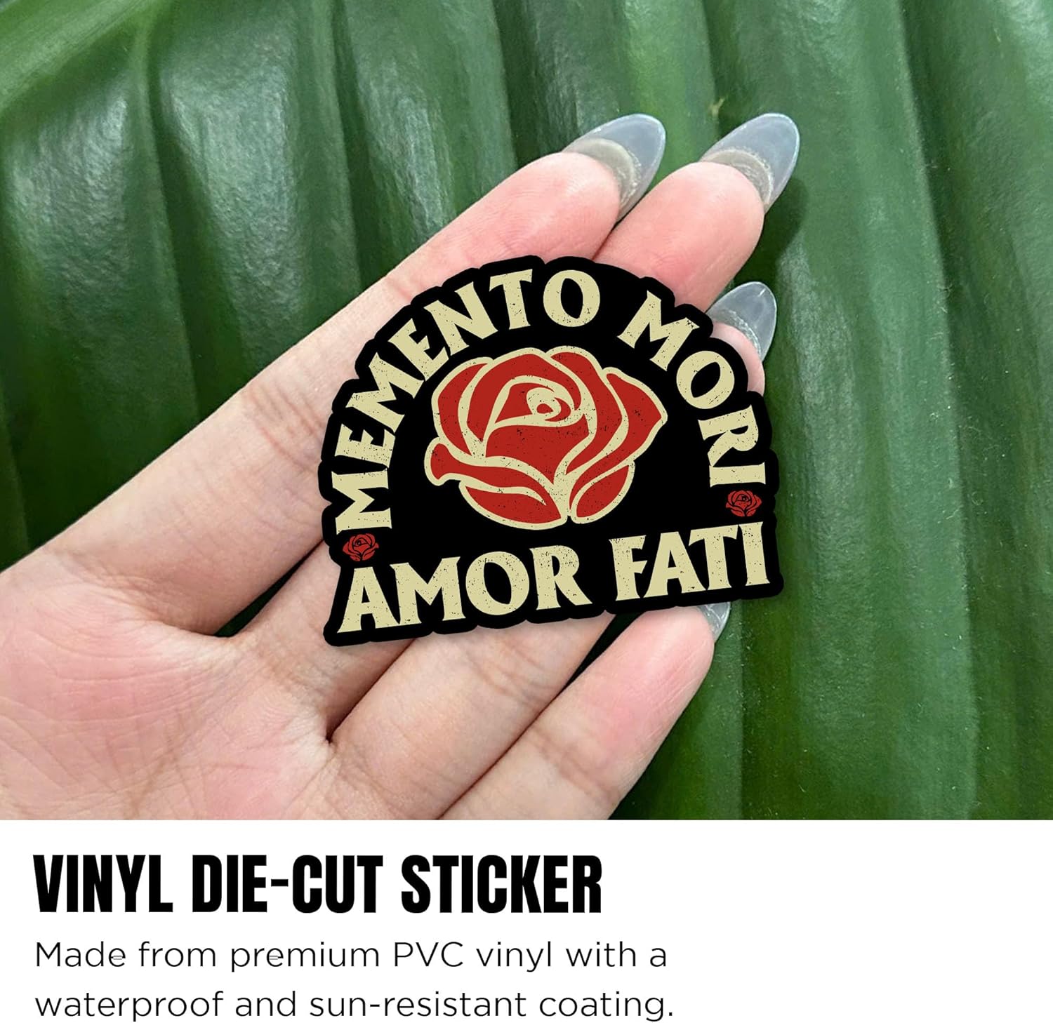 (3Pcs-3") Stoicism Quote Amor Fati Sticker Memento Mori Amor Fati Vintage Rose Waterproof Die-Cut Vinyl Sticker for Laptop Water Bottle Hard Hat Decal Birthday Gifts for Her Him 3 Inches